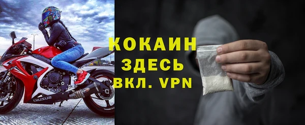 хмурый Алексин