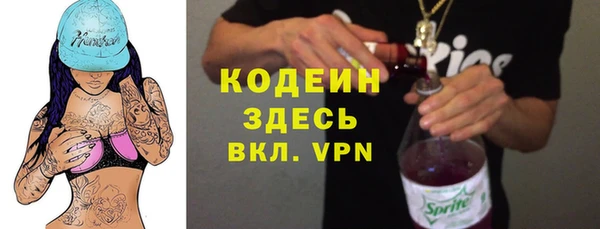хмурый Алексин