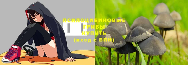 дмт Алзамай