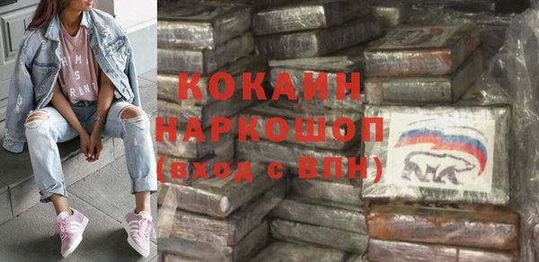 хмурый Алексин