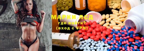 дмт Алзамай
