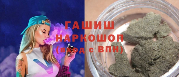 хмурый Алексин