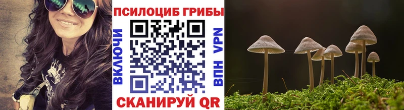 Псилоцибиновые грибы мухоморы  где можно купить наркотик  Вихоревка 